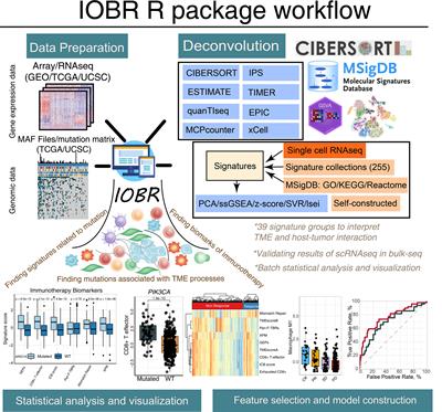 Frontiers | IOBR: Multi-Omics Immuno-Oncology Biological Research To ...